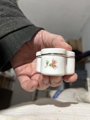 Royal Worcester Palissy Small Trinket Pot