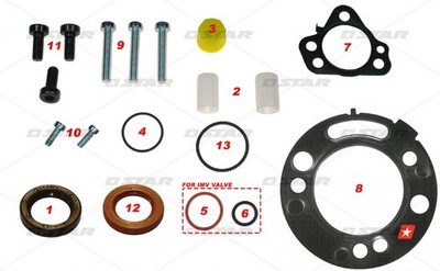 Dichtungssatz Einspritzpumpe DELPHI DFP6.1 PSA 2.0 TDCI/HDI