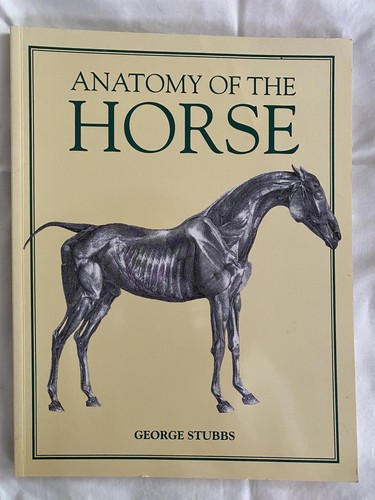 Anatomy of the Horse