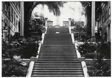 c.1890s SAN FRANCISCO'S SUTRO BATHS MAGNIFICENT GRAND STAIRWAY~NEW 1980 POSTCARD