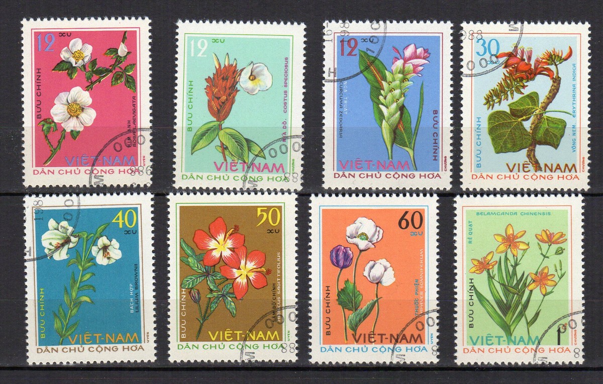 22 Plantes Médicinales à Cultiver Chez Soi | Plante médicinale | Herbes et champignons