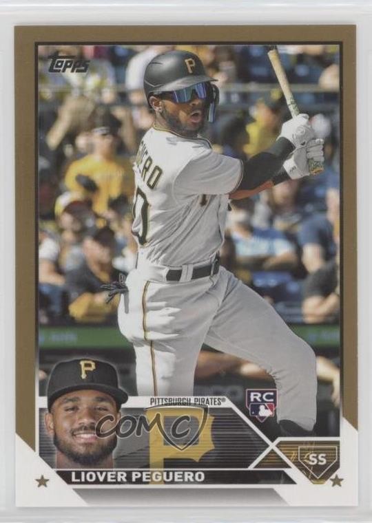 2023 Topps Series 1 Gold /2023 Liover Peguero #238 08a4