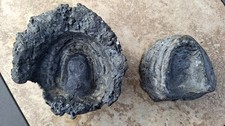 Antique dental mouth / teeth impression mould