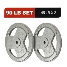 45LB  2 Cast Iron Weight Plates   Standard Barbell Plates for Strength Training