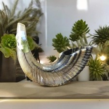 Jewish Shofar 20cm Ram Horn Kids Children Israel Synagogue Prayer Kosher Judaica