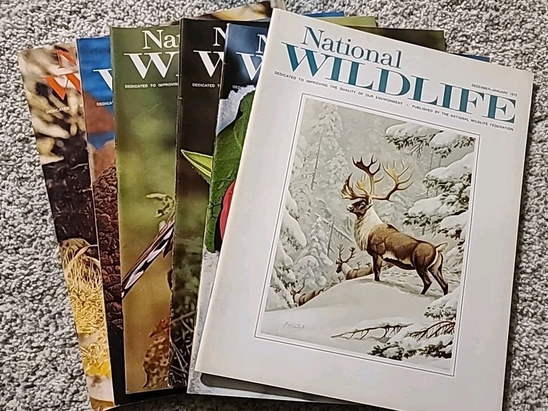 National Wildlife Magazine – Complete 1972 Year (6 Issues) – Clean Vintage Lot