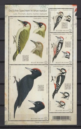 BELGIUM 2026 WOODPECKERS birds m/s  mnh** BLN202609 - product listing photo