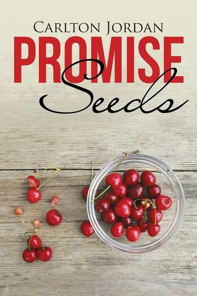 Promise Seeds Carlton Jordan Taschenbuch Kartoniert / Broschiert Englisch 2016-image