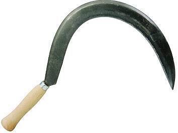 FALCIOLA TAGLIO LISCIO  N.  00