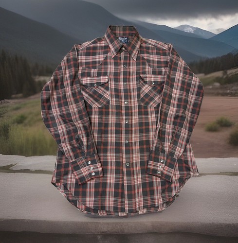 Dee Cee Rangers Western Snap Button Long-Sleeve Checker Print USA Made M Shirt - Picture 1 of 10