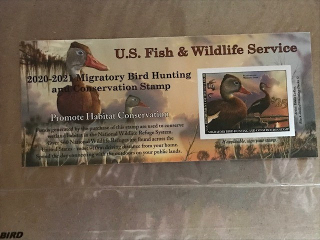 USA Scott RW87A - SELF ADHESIVE FEDERAL DUCK, 2020, MNH
