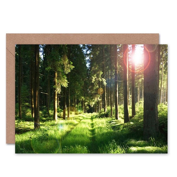 Birthday Painting Sunlit Forest Scene Blank Greeting Card With Envelope-image