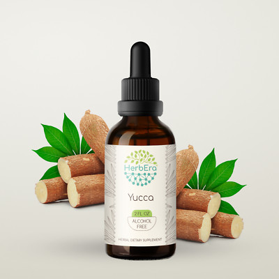 HerbEra Yucca Alcohol-FREE Herbal Extract Tincture (Soapweed, Yucca Glauca)