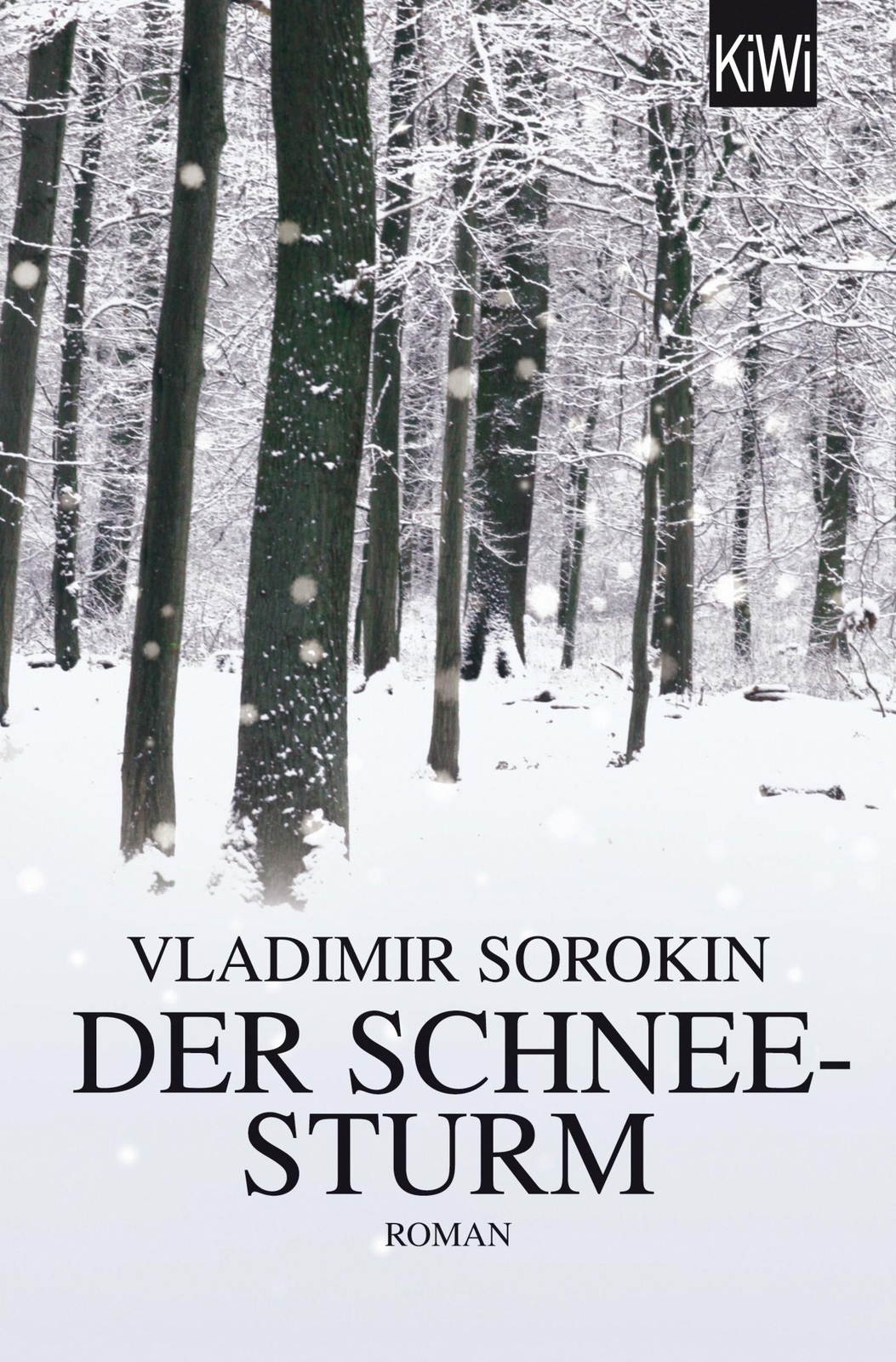 Thumbnail - Der Schneesturm | Buch | 9783462046823
