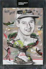 2020 Topps Project Ted Williams By Andrew Thiele 1954 Retro & bonus cards added