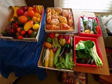 Choice Artificial Plastic/Faux Fruits, Vegetables, Breads Decoration Props Lots