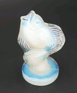 Sabino Fish | eBay