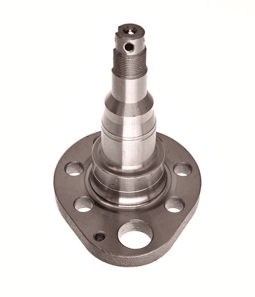 Achszapfen AchsköRper Hinterachse Links FüR Seat Vw Arosa Cordoba Vario Ibiza-image