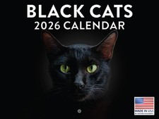 Black Cat Calendar 2026 Black Cats Monthly Wall Calender 12 Month 12x18
