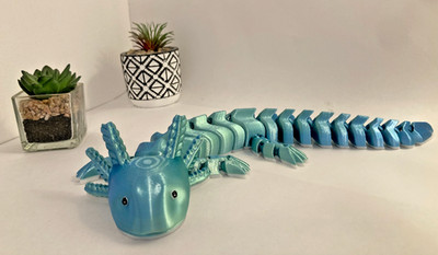 Axolotl 3D Druck Gelenkmodell aquafarben Seidenfaden