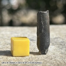 Rare Genuine Ornithocheirid Pterosaur (Pterodactyl) Tooth Fossil - Cretaceous