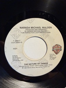Narada Michael Walden “The Nature Of Things” Warner Brothers 7” 45 VG+++