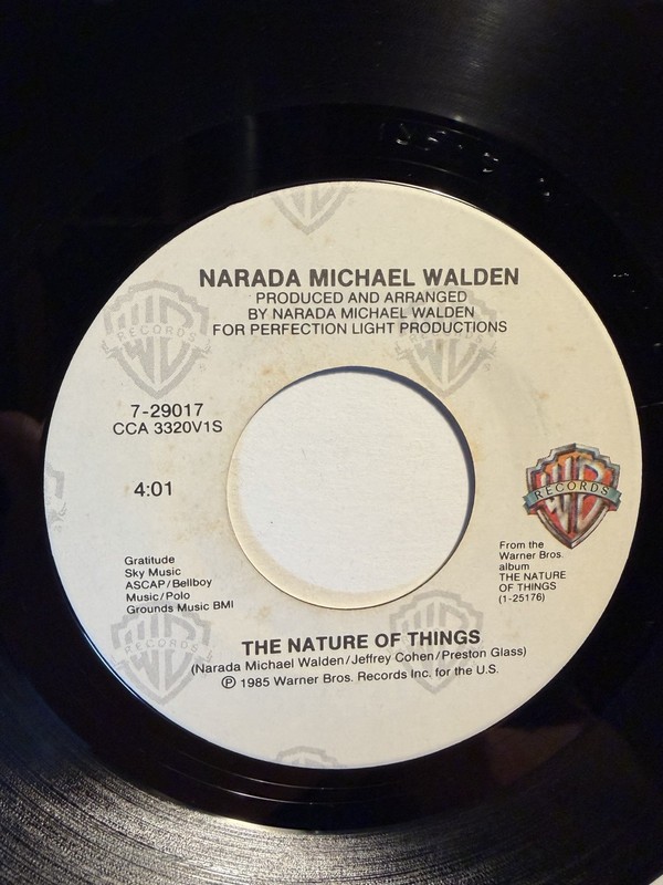 Narada Michael Walden “The Nature Of Things” Warner Brothers 7” 45 VG+++
