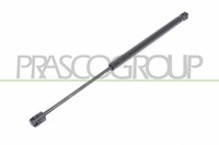 Prasco Gasfeder DäMpfer Heckklappe Beidseitig FüR Ford KA Rb_ 1.3I 1.6I