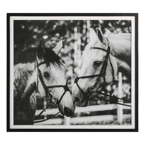 Uttermost Apple Of My Eye Wood and Linen Framed Print in Black/White - Picture 4 of 9