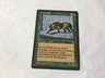 Lone Wolf Portal Magic the gathering card