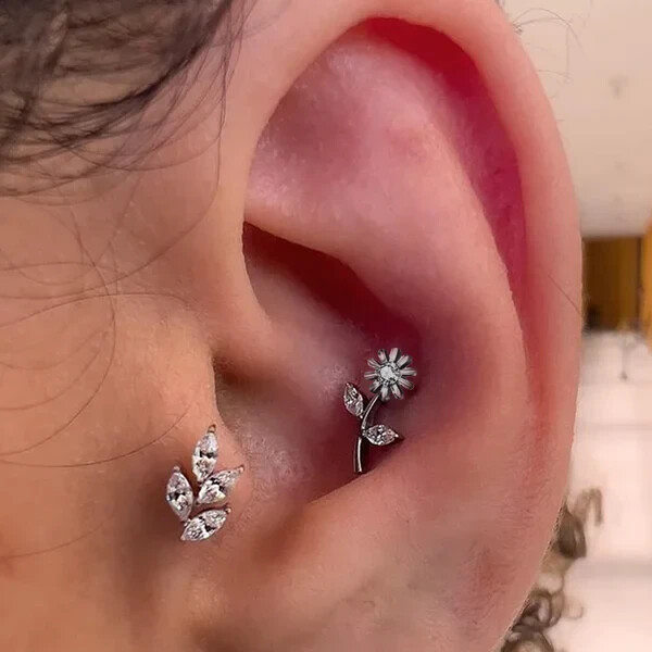 Picture 2 of 2