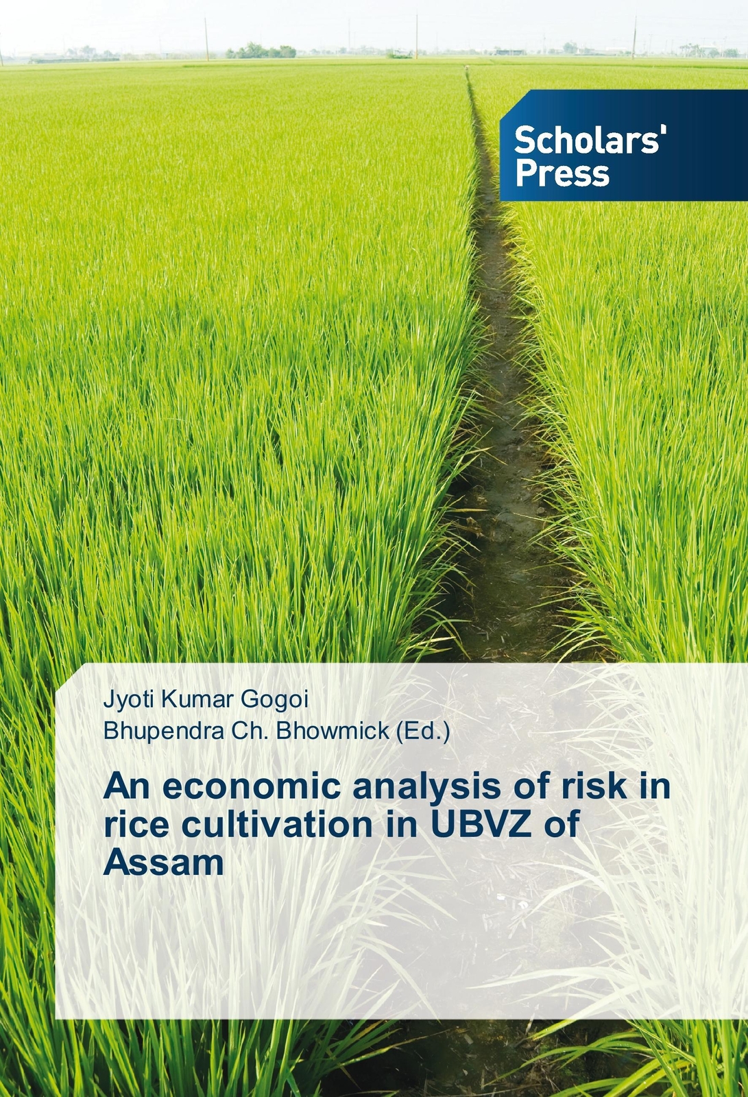 Thumbnail - Jyoti Kumar Gogoi | An Economic Analysis Of Risk In Rice Cultivation