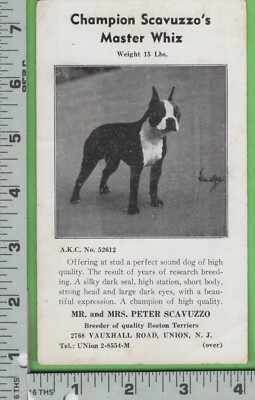 D908 Boston terrier dog stud card Peter Scavuzzo 2768 Vauxhall Road Union  NJ - Main Image