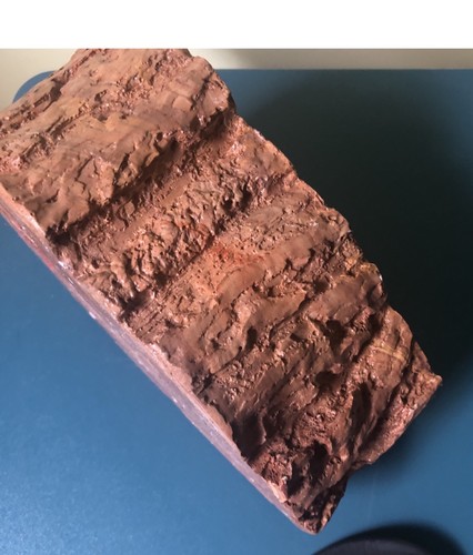 Nussschale Schale in Baumstammform und kleine Keramikschale - Bild 4 von 12