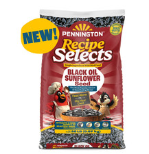 Pennington Recipe Selects Black Oil Sunflower Seed Dry Wild Bird Feed, 20 lb. Ba