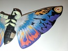PRE OWNED 2002 BANDAI 10" GODZILLA MOVIE RAINBOW MOTHRA W/LT WEAR  — photo 8