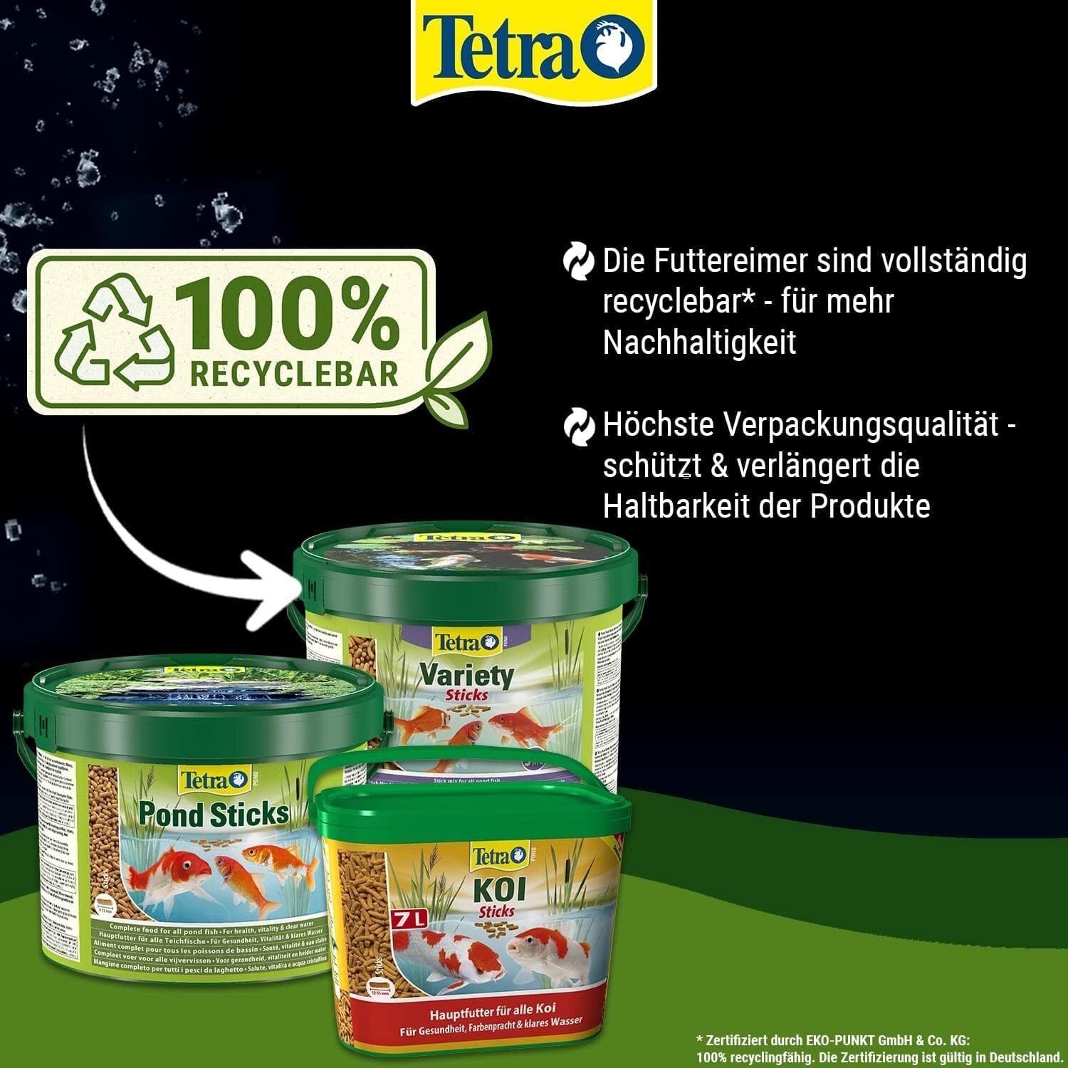Bild 5 von 9