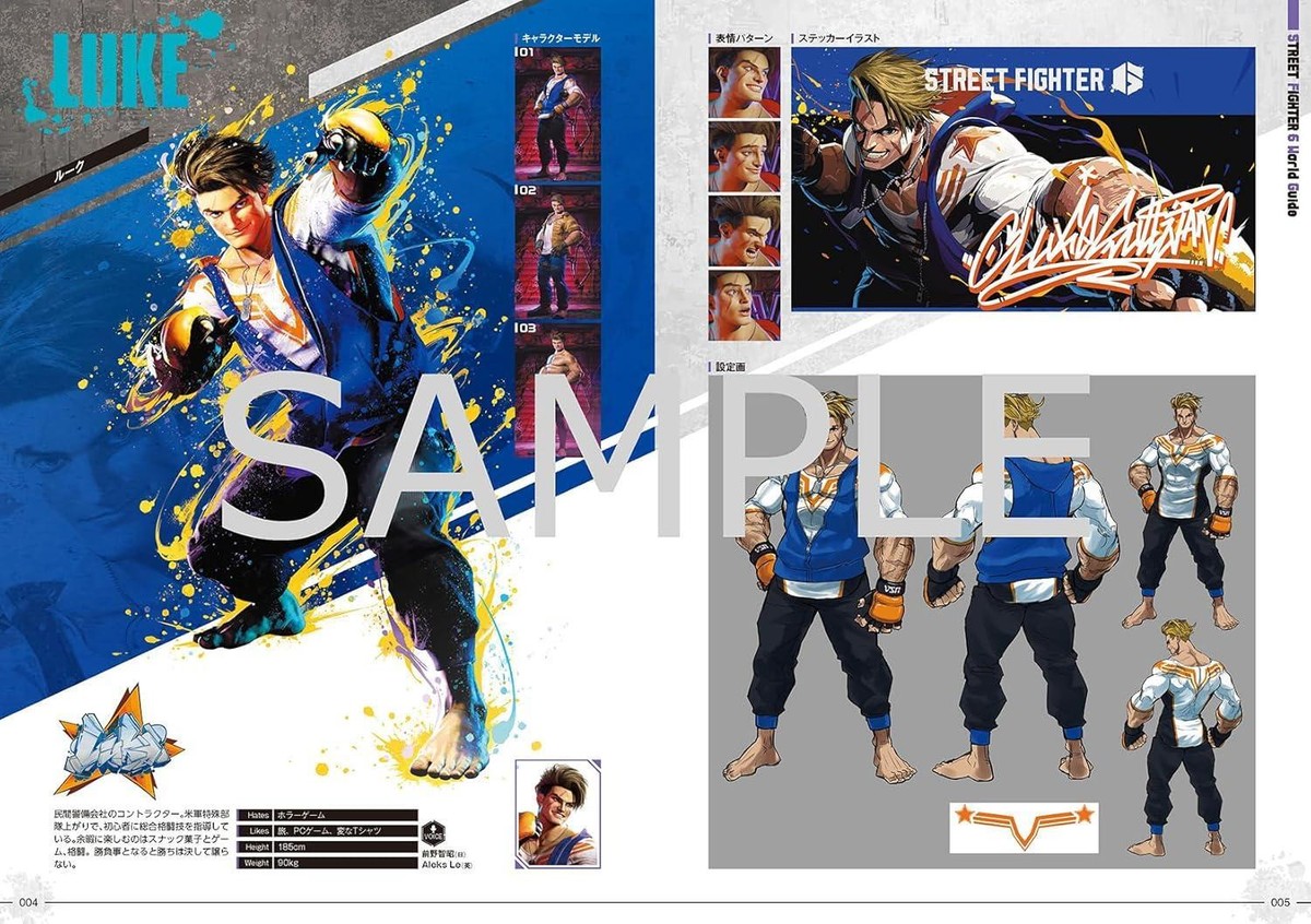 Street Fighter 6 World Guide Illustration Book Japan Japanese | eBay