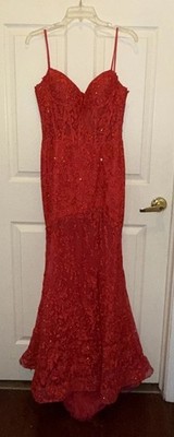Ellie Wilde Prom/Pageant Dress Size 4  Style #EW36016 Strawberry Beautiful