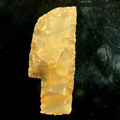 Petrified Wood Stone 44mm Flint Spearhead Head Point Knife Blade Arrowhead