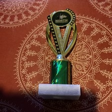 Basketball Trophy 9  High