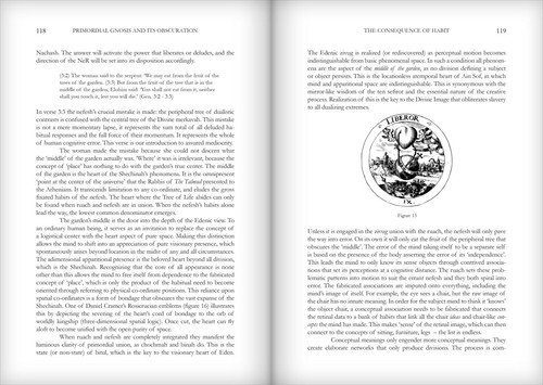 The Kabbalistic Mirror of Genesis by David Chaim Smith (First Edition/Paperback) - Picture 8 of 9