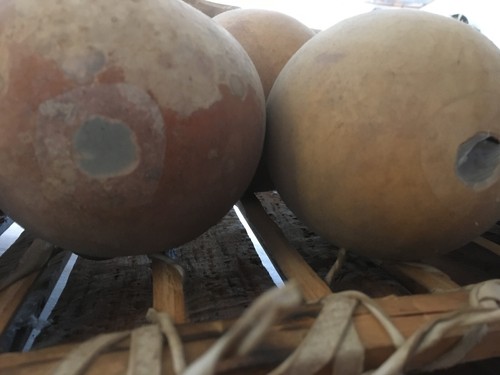 Afrika, altes Balafon, 16 Klanghölzer, Xylophon, Trommel, Percussion - Bild 20 von 20