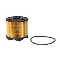 Dr!Ve+ Kraftstofffilter DP1110.13.0035 FüR CitroËN Passend FüR Fiat Lancia