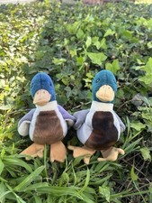 Ty Jake the Mallard Duck Plush Toy
