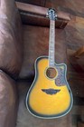 Acoustic Player Guitar By Keith Urban W/ Case & 30 Songs In 30 Days CD Tutorial