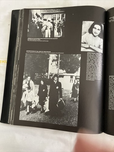 Pillar of Fire Rebirth of Israel Yigal Lossin A Visual History First Edition - Picture 21 of 24