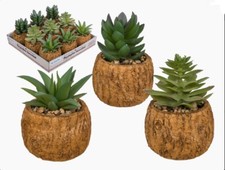 Image of Decorative - Artificial /Faux Flowers/Cactus - Succulent In Pot