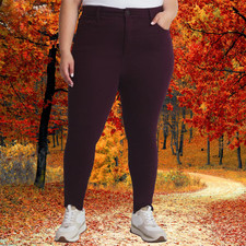 Terra and Sky Women's Plus Size 1X 18W Denim Skinny High Rise Jeans Plum NWT