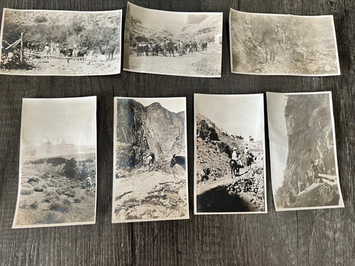 Lot/7 GRAND CANYON NP Original 1906 Photos TOURISTS ON HORSEBACK Arizona - Picture 1 of 6